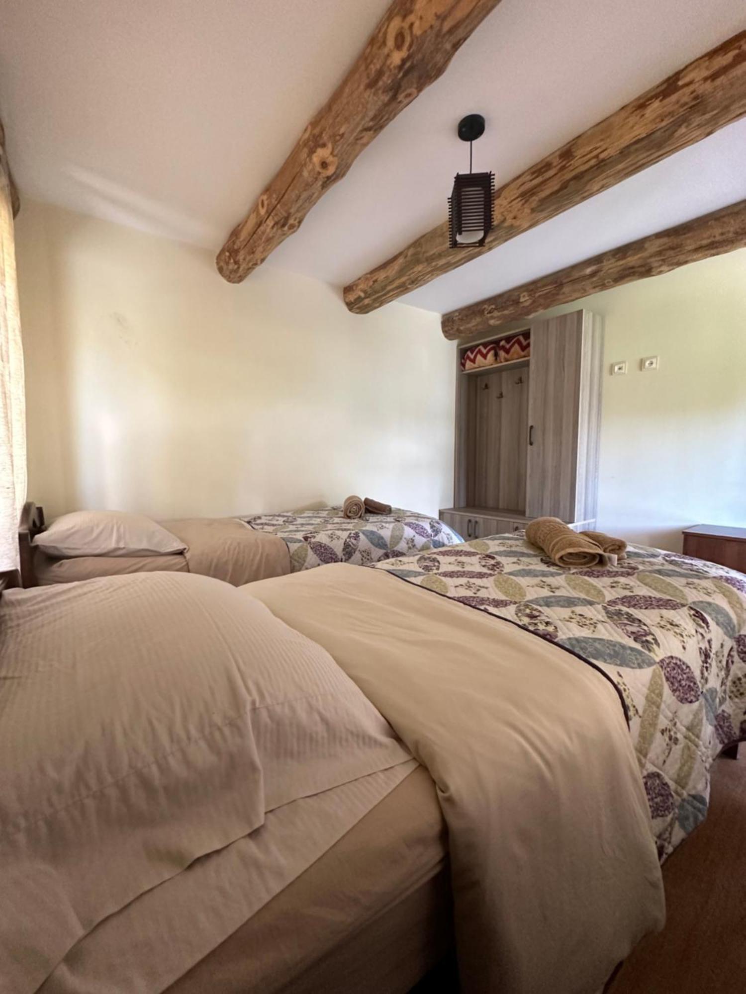 Guesthouse Lasharai Omalo Exteriér fotografie