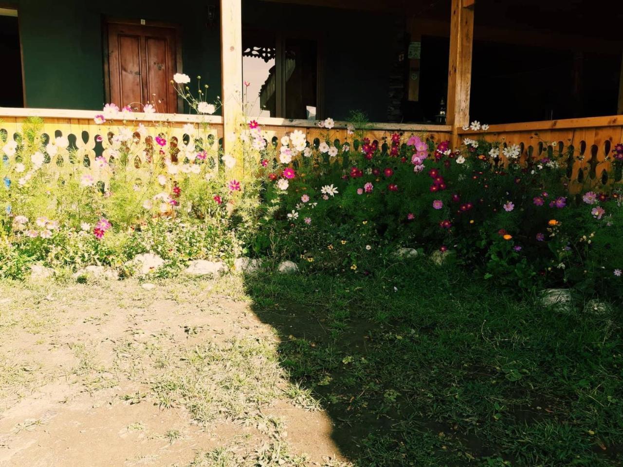 Guesthouse Lasharai Omalo Exteriér fotografie